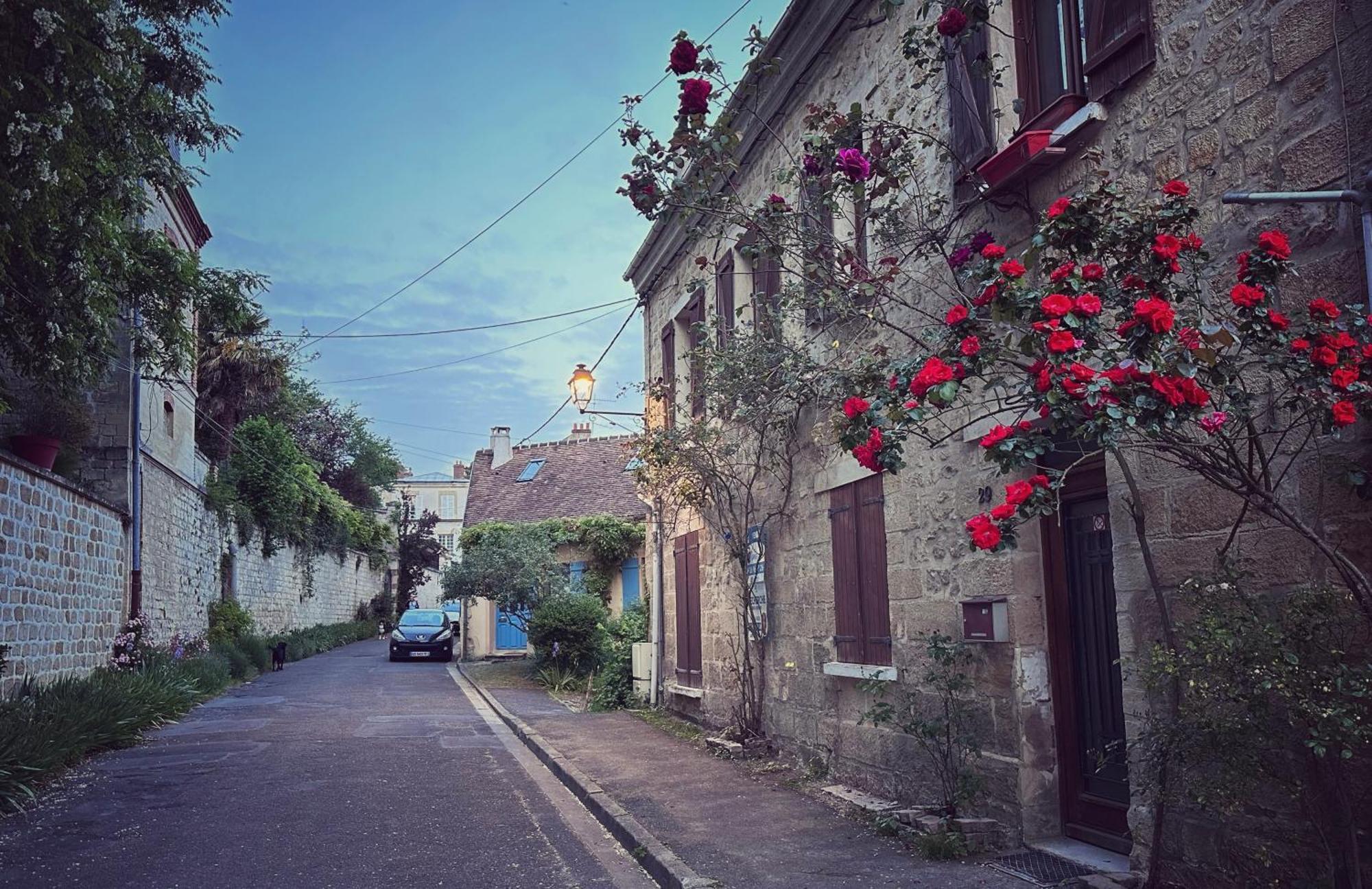 Les Persiennes Bed & Breakfast Auvers-sur-Oise Luaran gambar